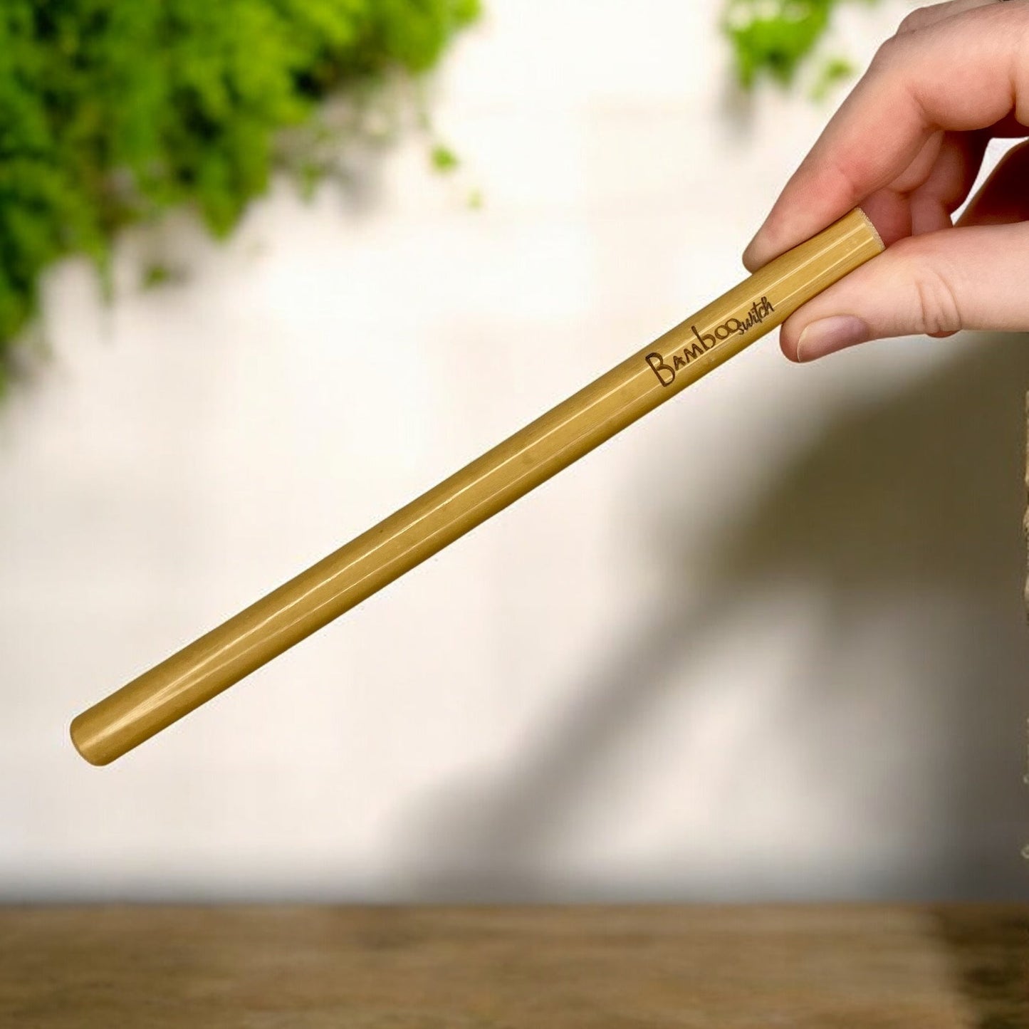 Bamboo Straw Travel Case