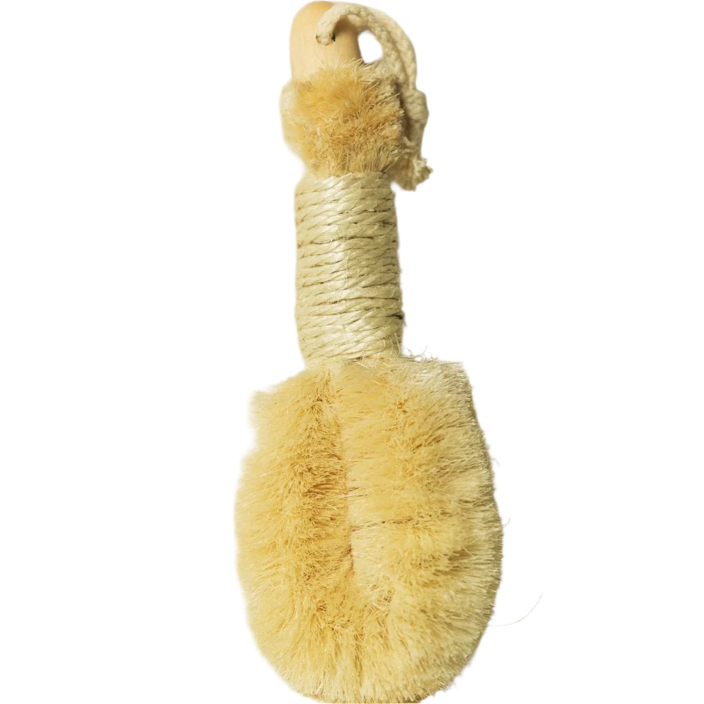 Sisal Dry Brush