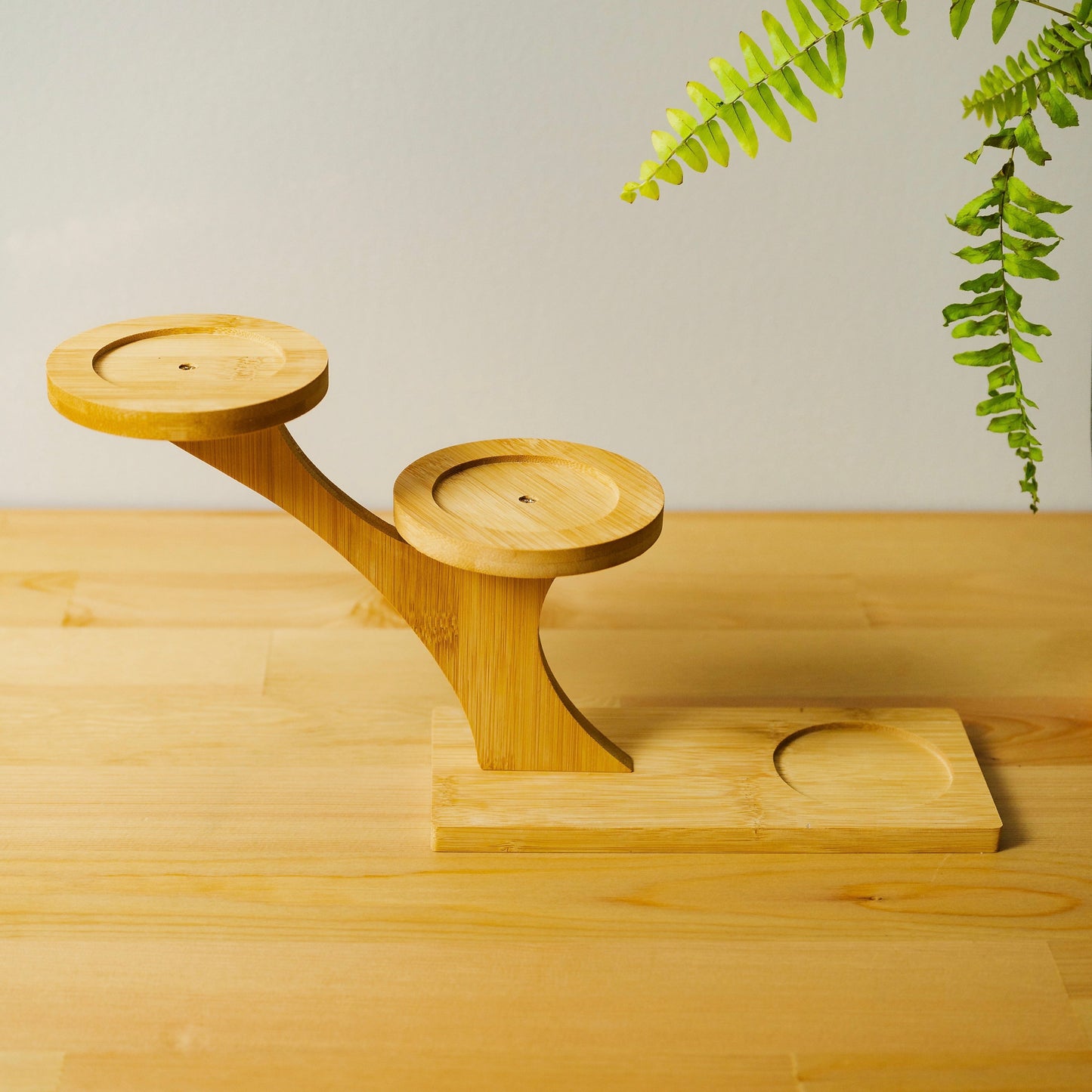 Bamboo Succulent Plant Stand