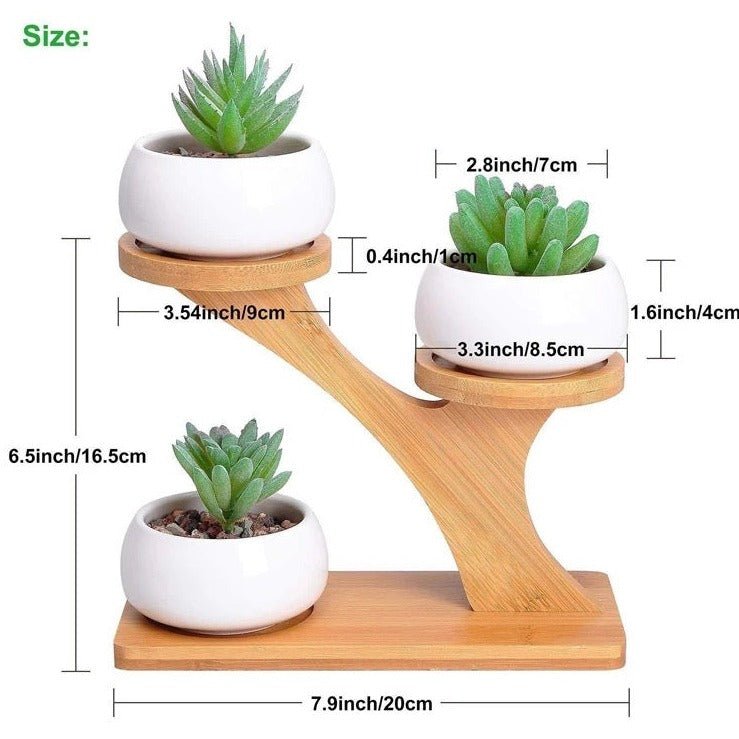 Bamboo Succulent Plant Stand