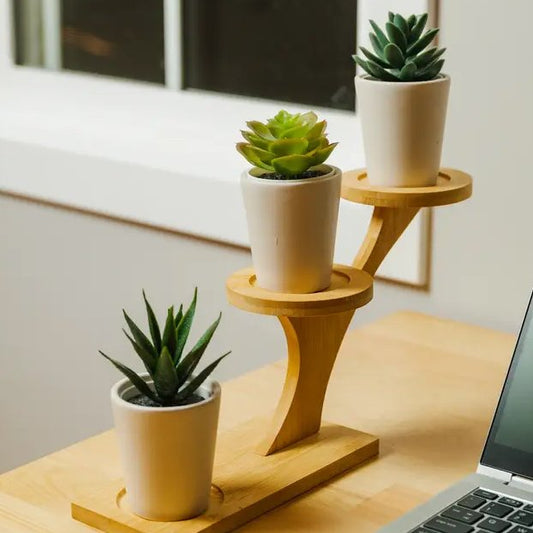 Bamboo Succulent Plant Stand
